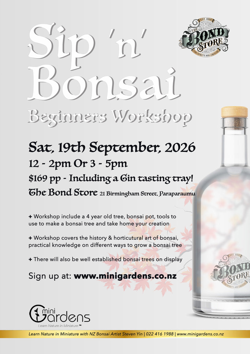 Sip and Bonsai, Saturday 19th September, 12pm and 3pm
