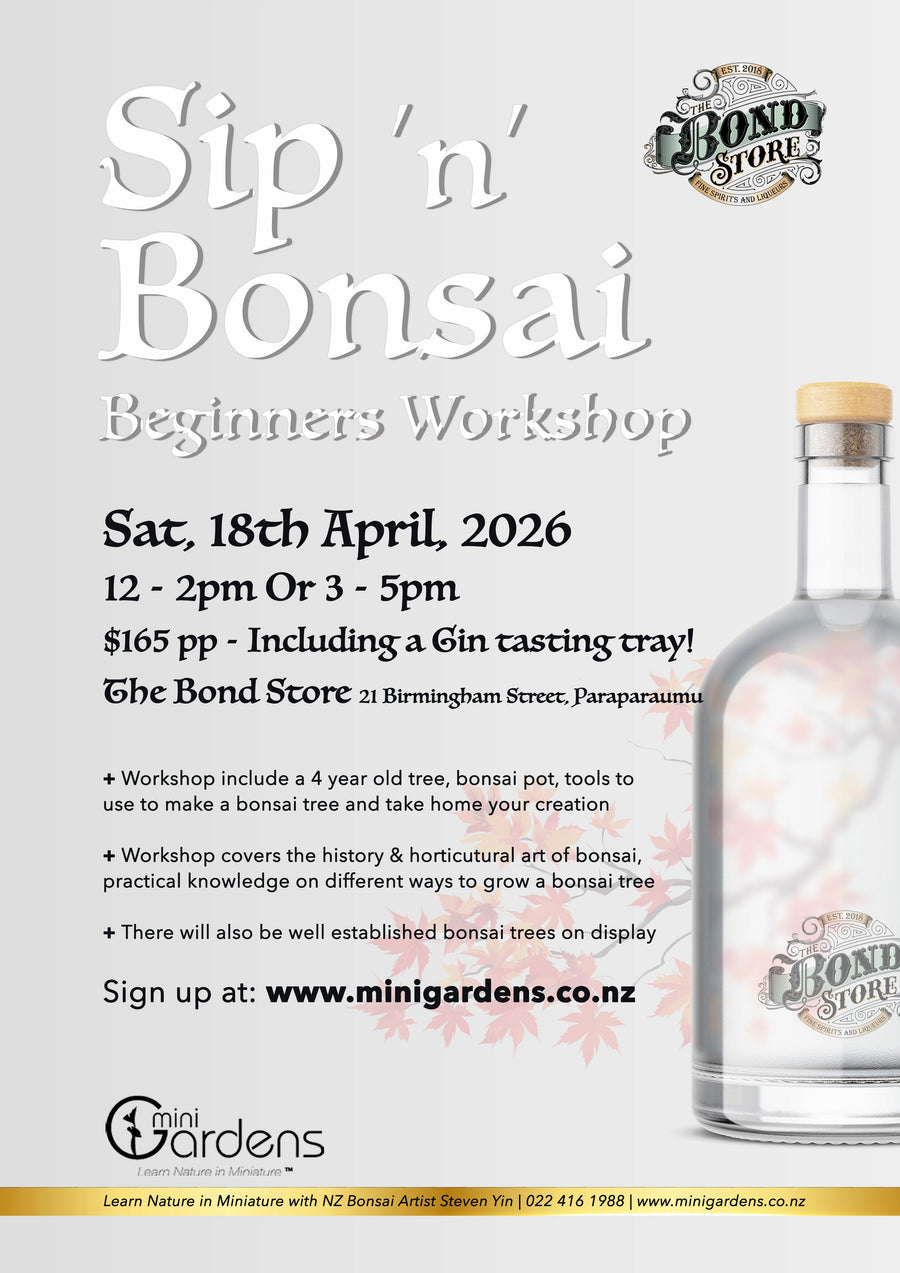 Sip and Bonsai Workshop -  Saturday 18th April 2026, 12-2pm or 3-5pm