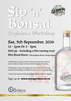 Sip and Bonsai